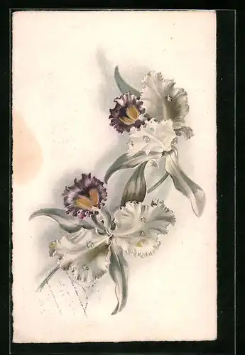 Künstler-AK M. Munk Nr. 910:, hübsche Blüten in weiss-lila
