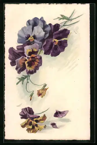 Künstler-AK M. Munk Nr. 909: hübsche Stiefmütterchen in lila und blau blühend