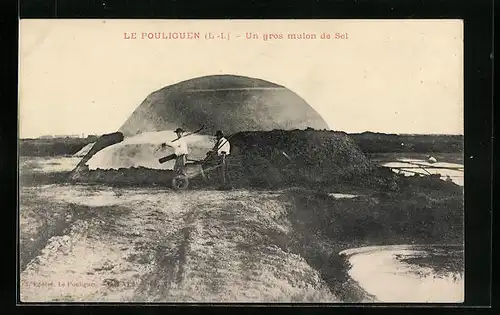 AK Le Pouliguen, un gros mulon de Sel