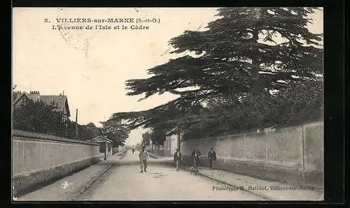 AK Villiers-sur-Marne, l'Avenue de l'Isle et le Cèdre