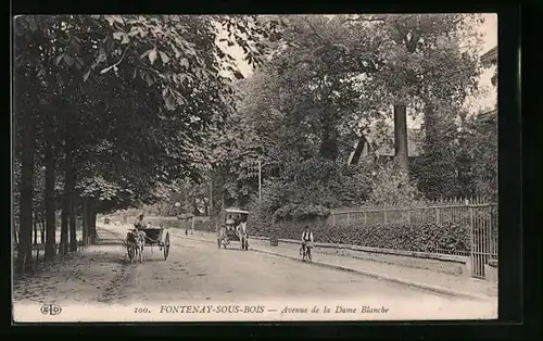 AK Fontenay-sous-Bois, Avenue de la Dame Blanche