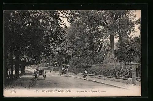 AK Fontenay-sous-Bois, Avenue de la Dame Blanche