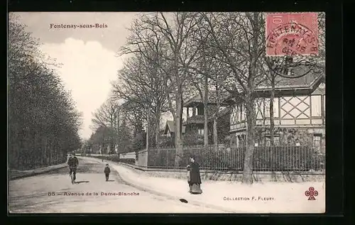 AK Fontenay-sous-Bois, Avenue de la Dame-Blanche