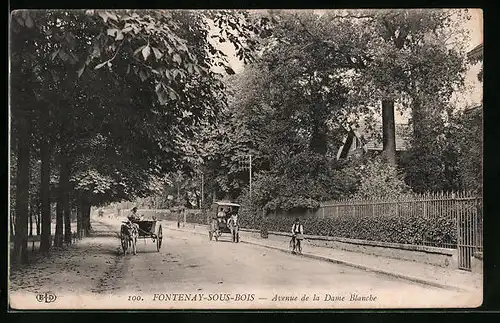 AK Fontenay-sous-Bois, Avenue de la Dame Blanche