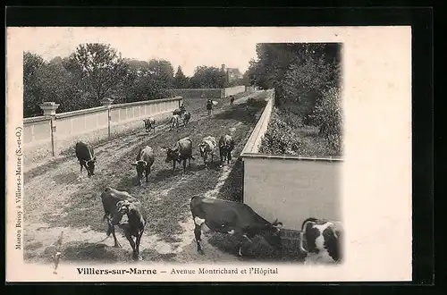 AK Villiers-sur-Marne, Avenue Montrichard et l`Hôpital