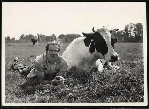Fotografie junger Mann neben Rind auf einer weide liegend