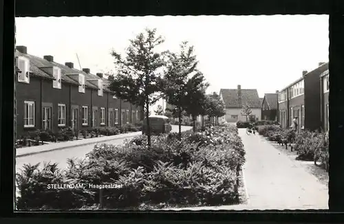 AK Stellendam, Haagsestraat