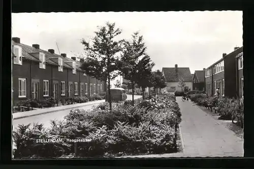 AK Stellendam, Haagestraat