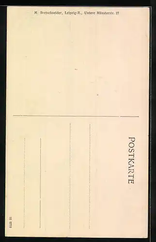 AK Musikerin Helene Saiten, Violin-Virtuosin