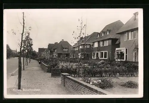 AK Haren, Botanicuslaan