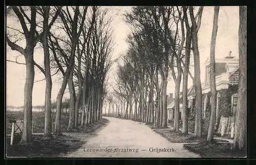 AK Grijpskerk, Leeuwarder, straatweg
