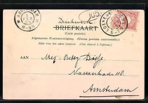 AK Loenen a. d. Vecht, Panorama