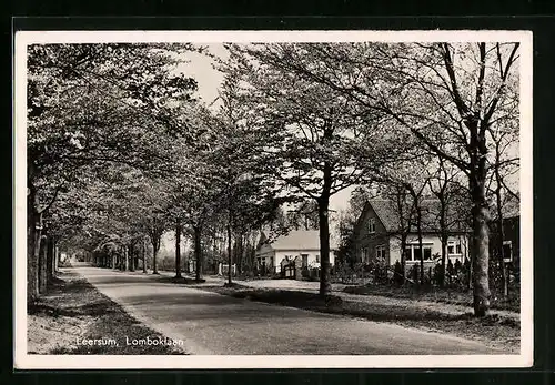 AK Leersum, Lomboklaan