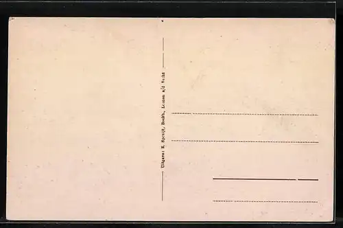 AK Loenen a. d. Vecht, Panorama