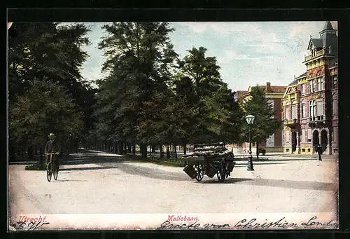 AK Utrecht, Maliebaan