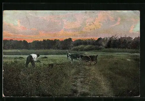 Künstler-AK Baarn, Aardappels-rooien