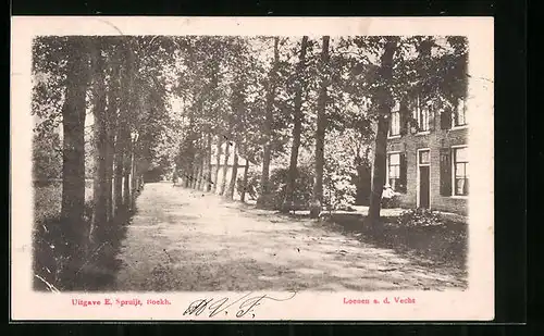 AK Loenen a/d Vecht, Allee mit Haus