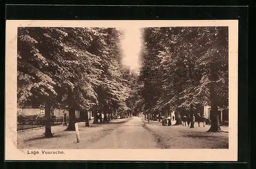 AK Lage Vuursche, Allee
