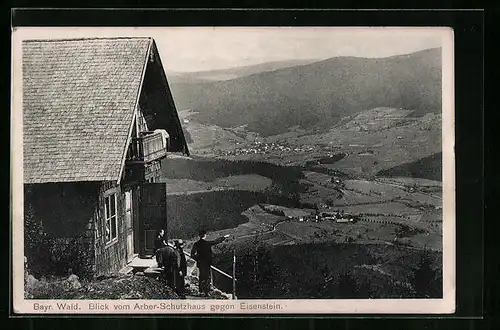 AK Arber-Schutzhaus im Bayr. Wald, Blick gegen Eisenstein