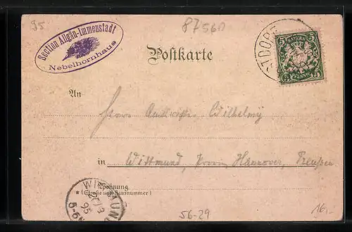 Vorläufer-Lithographie Oberstdorf, 1895, Gasthaus a. d. Nebelhorn, Aussicht vom Nebelhorn a. d. Hochvogel