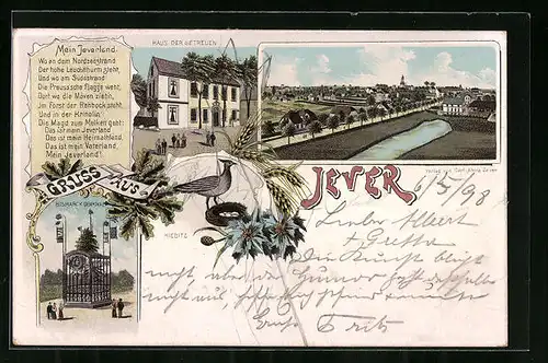 Lithographie Jever, Haus der Getreuen, Bismarck-Denkmal, Kiebitz am Nest