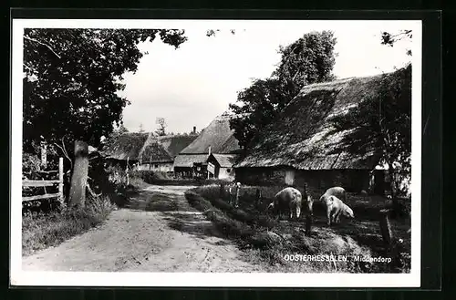 AK Oosterhesselen, Middendorp