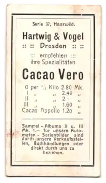 Sammelbild Hartwig & Vogel, Cacao Vero, Hirsch im Gebirge