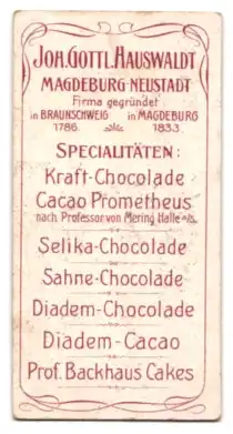 Sammelbild Joh. Gottl. Hauswaldt, Magdeburg-Neustadt, Kraft-Chocolade und Cacao Prometheus, Herberge der Gerechtigkeit