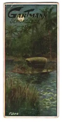 Sammelbild Gartmann Schokolade, Bilder aus Ceylon, Fähre