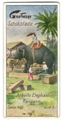 Sammelbild Gartmann Schokolade, Rangoon, Arbeitselefant