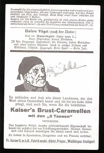 Sammelbild Kaiser's Brust-Caramellen, Fr. Kaiser GmbH, Serie: Unsere Vögel, Nr. 65, Mauersegler, Apus apus L.