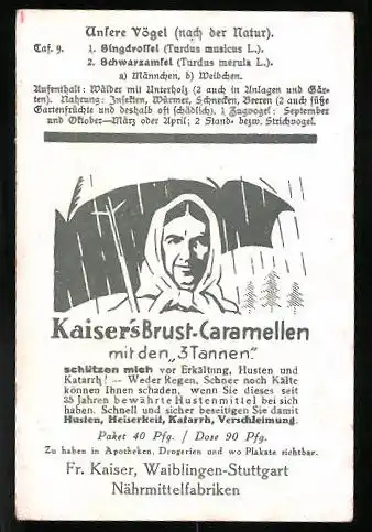 Sammelbild Kaiser's Brust-Caramellen, Fr. Kaiser GmbH, Serie: Unsere Vögel, Nr. 9, Singdrossel, Schwarzamsel