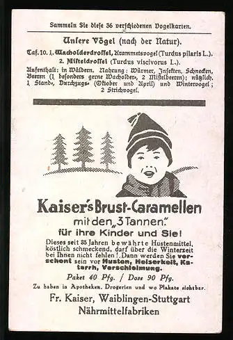 Sammelbild Kaiser's Brust-Caramellen, Fr. Kaiser GmbH, Serie: Unsere Vögel, Nr. 10, Wacholderdrossel, Nisteldrossel