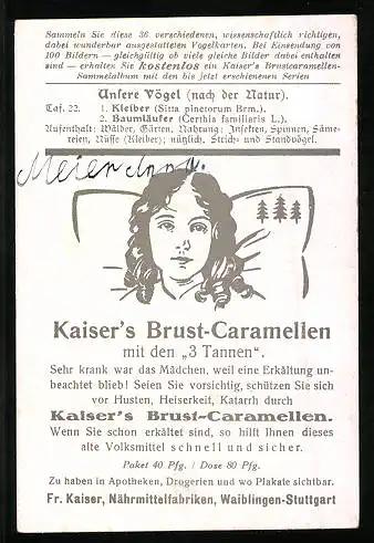 Sammelbild Kaiser's Brust-Caramellen, Fr. Kaiser GmbH, Serie: Unsere Vögel, Nr. 22, Kleiber, Baumläufer