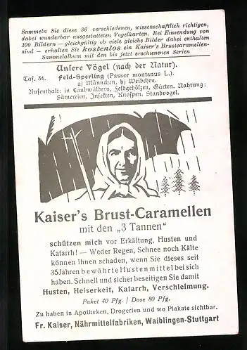 Sammelbild Kaiser's Brust-Caramellen, Fr. Kaiser GmbH, Serie: Unsere Vögel, Nr. 34, Feld-Sperling