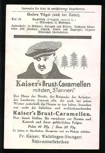 Sammelbild Kaiser's Brust-Caramellen, Fr. Kaiser GmbH, Serie: Unsere Vögel, Nr. 33, Buchfink