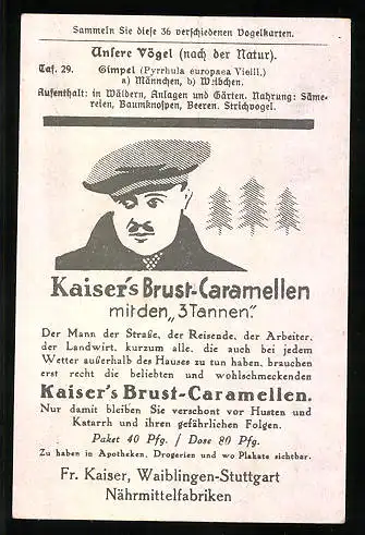 Sammelbild Kaiser's Brust-Caramellen, Fr. Kaiser GmbH, Serie: Unsere Vögel, Nr. 29, Gimpel