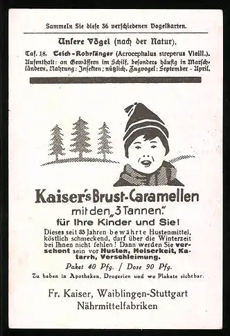 Sammelbild Kaiser's Brust-Caramellen, Fr. Kaiser GmbH, Serie: Unsere Vögel, Nr. 18, Teich-Röhrfänger