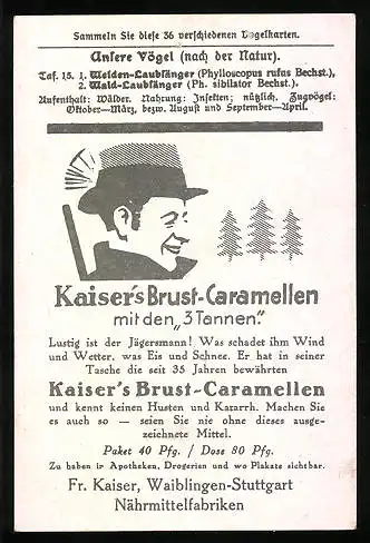 Sammelbild Kaiser's Brust-Caramellen, Fr. Kaiser GmbH, Serie: Unsere Vögel, Nr. 15, Weiden-Laubsänger, Wald-Laubsänger