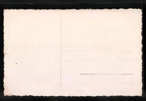 AK Vilshofen a. D., Totalansicht