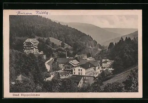 AK Bad Rippoldsau, Gesamtansicht