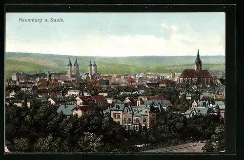 AK Naumburg / Saale, Totalansicht