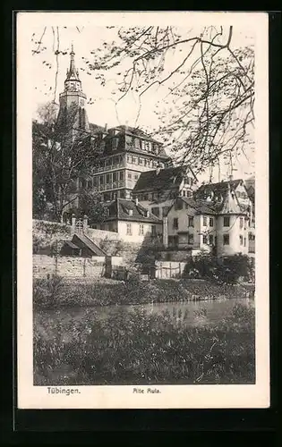 AK Tübingen a. N., Alte Aula