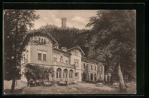 AK Rochlitz /Sachsen, Hotel und Pension Rochlitzer Berg
