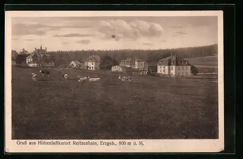 AK Reitzenhain / Erzgeb., Ortsansicht aus der Vogelschau