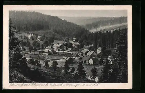 AK Wildenthal / Erzgeb., Gesamtansicht