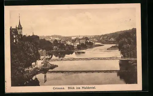 AK Grimma i. Sa., Blick ins Muldental, Ortspartie mit Brücke