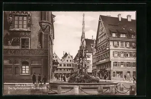 AK Ulm, Syrlinbrunnen (Fischkasten)