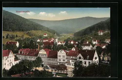 AK Herrenalb, Ortsansicht aus der Vogelschau