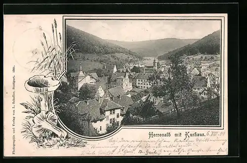 AK Herrenalb, Ortsansicht mit Kurhaus